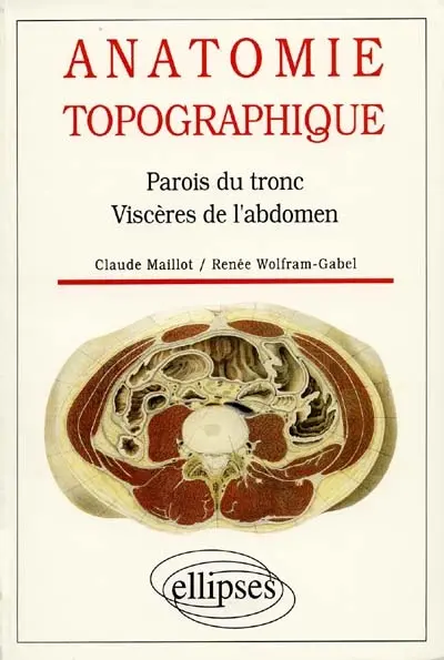 Anatomie topographique : parois du tronc, viscères de l'abdomen