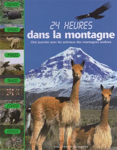 24 heures dans la montagne : une journée avec les animaux des montagnes andines