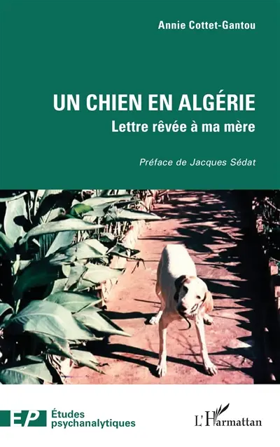 Un chien en Algérie : lettres rêvées à ma mère