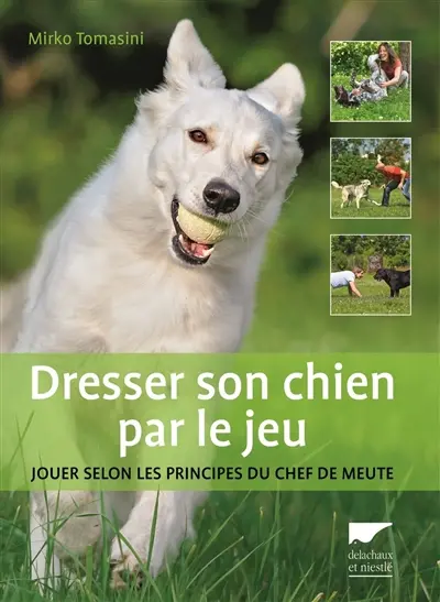 Dresser son chien par le jeu : jouer selon les principes du chef de meute