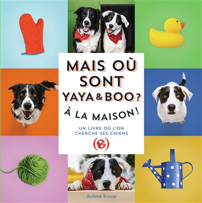 Mais où est Momo ?. Mais où sont Yaya & Boo ? : à la maison ! : un livre où l'on cherche ses chiens