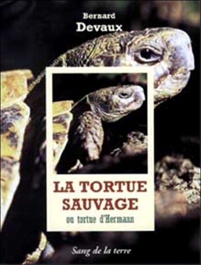 La tortue sauvage ou Tortue d'Hermann