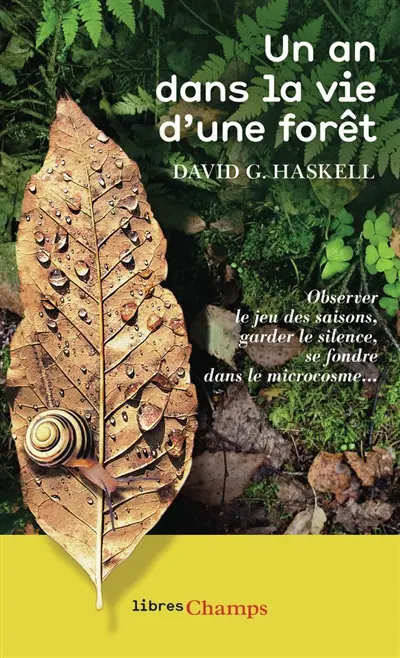 Un an dans la vie d'une forêt : observer le jeu des saisons, garder le silence, se fondre dans le microcosme...
