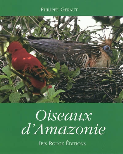 Oiseaux d'Amazonie
