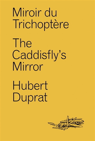 Miroir du trichoptère. The caddisfly's mirror