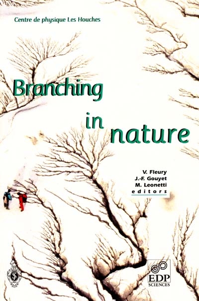 Branching in nature : dynamics and morphogenesis of branching structures, from cell to river networks : Les Houches School, october 11-15, 1999