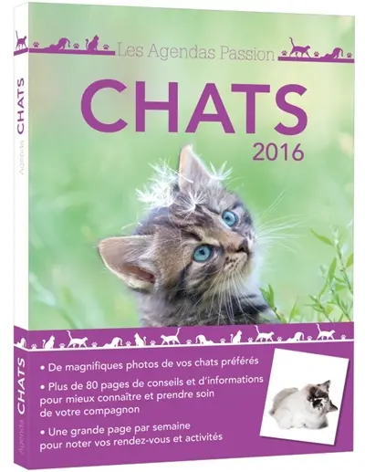 Agenda chats 2016