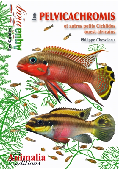 Les pelvicachromis : et autres petits cichlidés ouest-africains : pelvicachromis, anomalochromis, chromidotilapia, congochromis, enigmatochromis & nanochromis