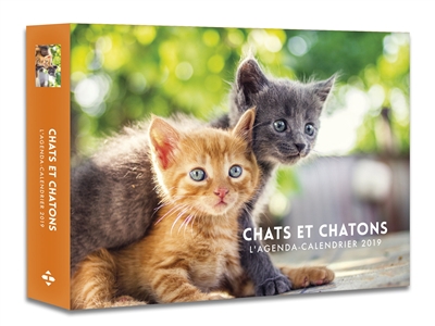 Chats et chatons : l'agenda-calendrier 2019