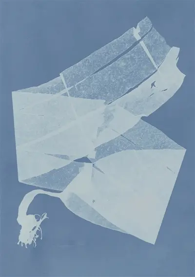 Herbier des mers : carnet Herbier des mers : carnet