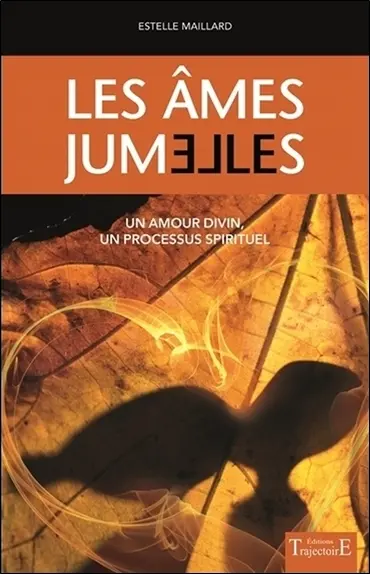 Les âmes jumelles : un amour divin, un processus spirituel
