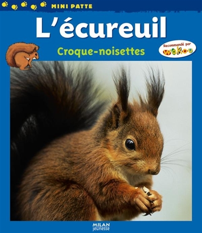 L'écureuil : croque-noisettes
