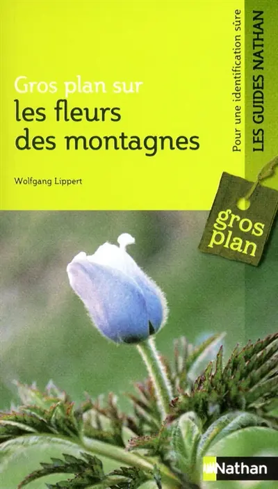 Fleurs des montagnes