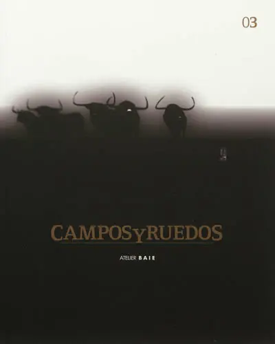 Campos y ruedos. Vol. 3