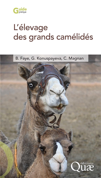 L'élevage des grands camélidés