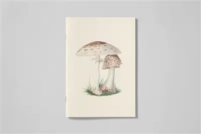 Champignons