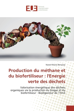 Production du méthane et du...