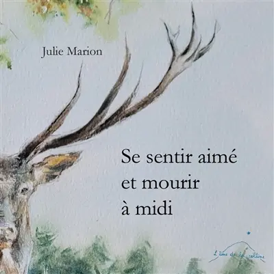 Se sentir aimé et mourir à midi : pensées surgies suite au décès accidentel d'Ambroise, 8 ans