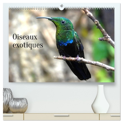 Oiseaux exotiques...
