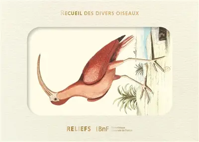 Recueil de divers oiseaux