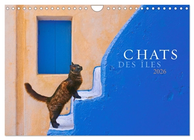 Chats des îles (Calendrier...