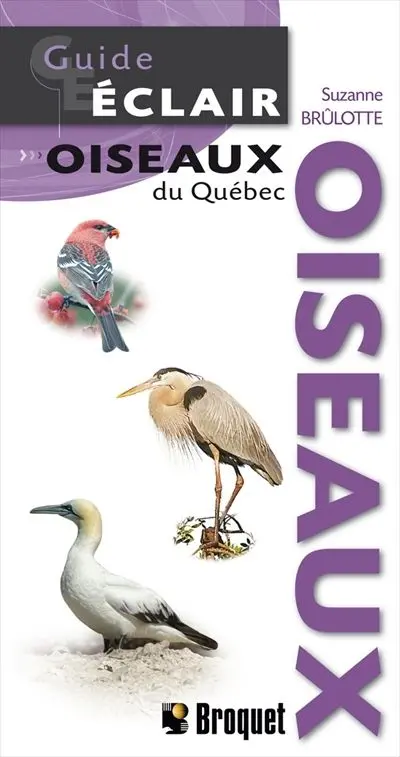 Oiseaux du Québec