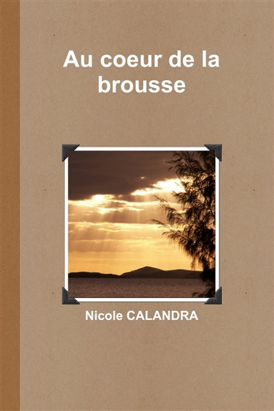 Au coeur de la brousse