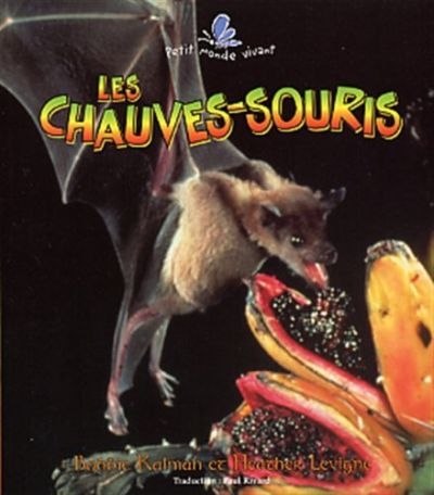 Les chauves-souris