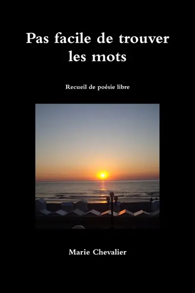 Pas facile de trouver les mots