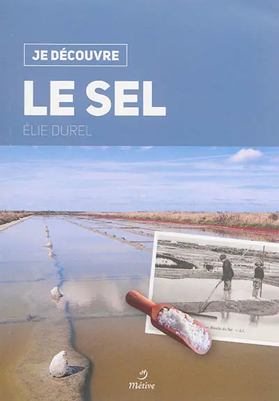 Le sel