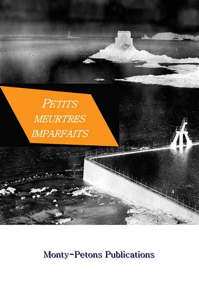 Petits Meurtres Imparfaits : Prix GonZib ST Broc