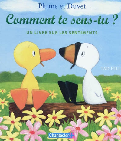 Comment te sens-tu ? : un livre sur les sentiments