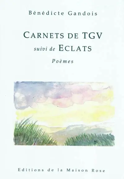 Carnets de TGV. Eclats : poèmes