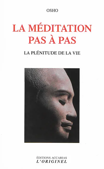 La méditation pas à pas : la plénitude de la vie : discours spontanés donnés lors d'une session de méditation