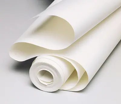 Papier spécial peinture blanc