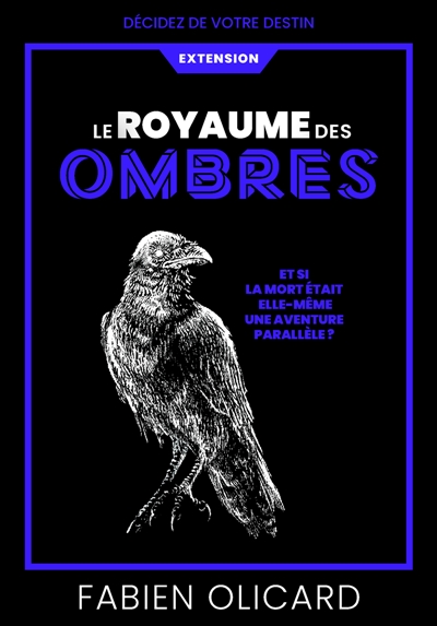 Le Royaume des Ombres : Décidez de votre destin : La Saga de Dagda