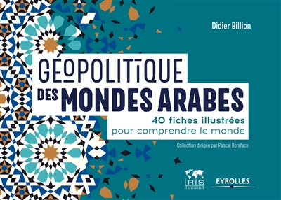Géopolitique des mondes arabes : 40 fiches illustrées pour comprendre le monde