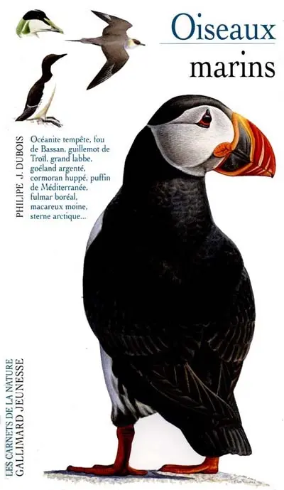Oiseaux marins