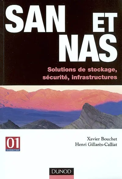 SAN et NAS : solutions de stockage, sécurité, infrastructures
