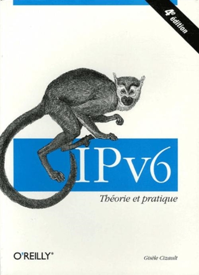IPv6, théorie et pratique