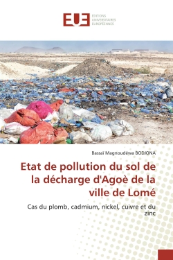 Etat de pollution du sol de...