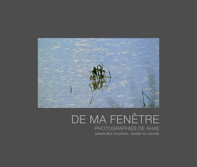 De ma fenêtre