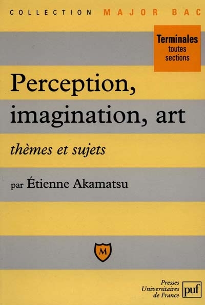 Perception, art, imagination