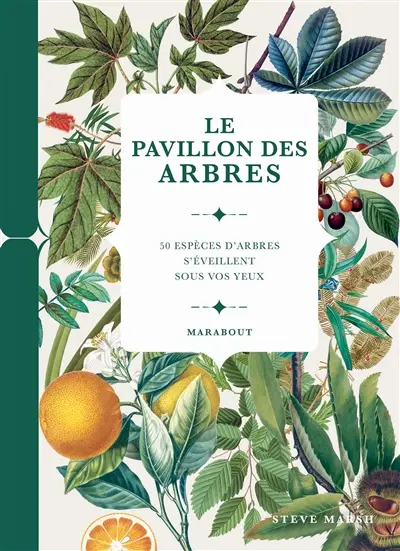 Le pavillon des arbres : 50 espèces d'arbres s'éveillent sous vos yeux