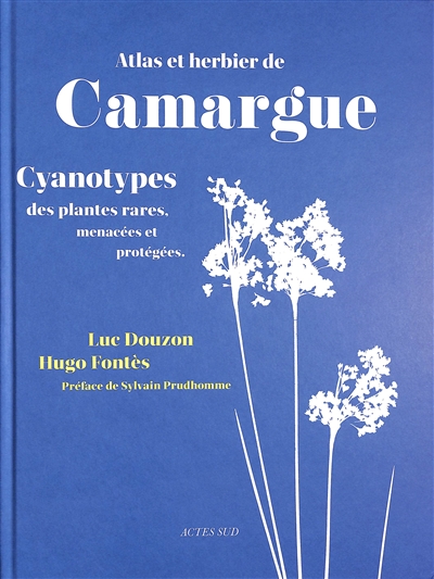 Atlas et herbier de Camargue : cyanotypes des plantes rares, menacées et protégées : exposition, Mas du Pont de Rousty, Musée de la Camargue, du 7 juillet au 5 octobre 2025