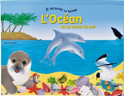 L'océan et les bords de mer