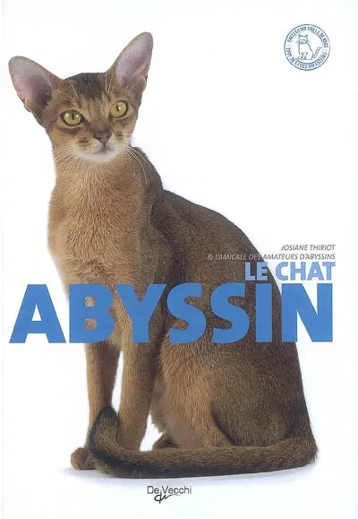 Le chat abyssin