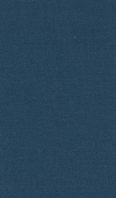 Magnétiseurs et médecins