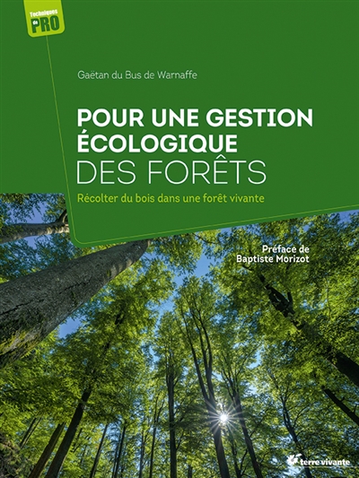 Pour une gestion écologique des forêts : récolter du bois dans une forêt vivante