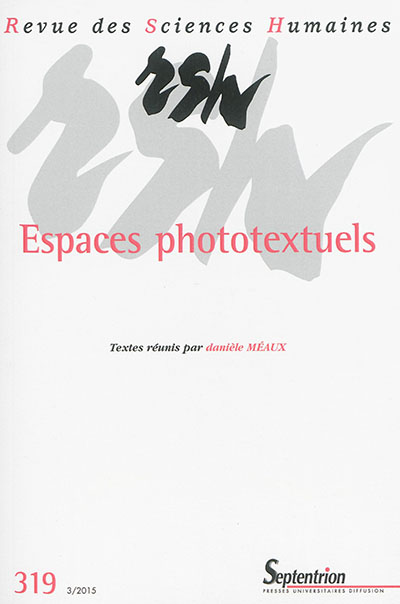 Revue des sciences humaines, n° 319. Espaces phototextuels